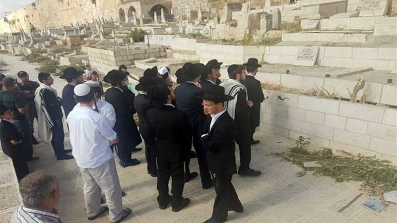 عاجل.. مستوطنون صهاينة