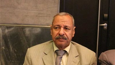 داود سليمان: صدور قرار تحويل الوادي الجديد لمحافظة حدودية قريبًا