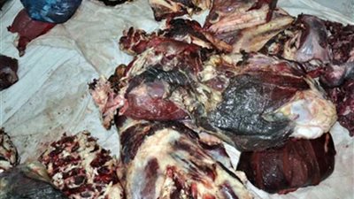 ضبط أكثر من 2 طن لحوم ودواجن فاسدة في 16 محافظة