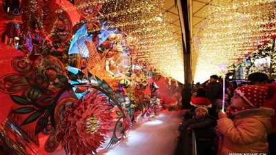 أشجار عيد الميلاد تزين 