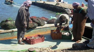 26 ديسمبر الجاري.. انتهاء موسم الصيد في بحيرة البردويل بشمال سيناء