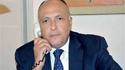 وزير الخارجية يبحث 