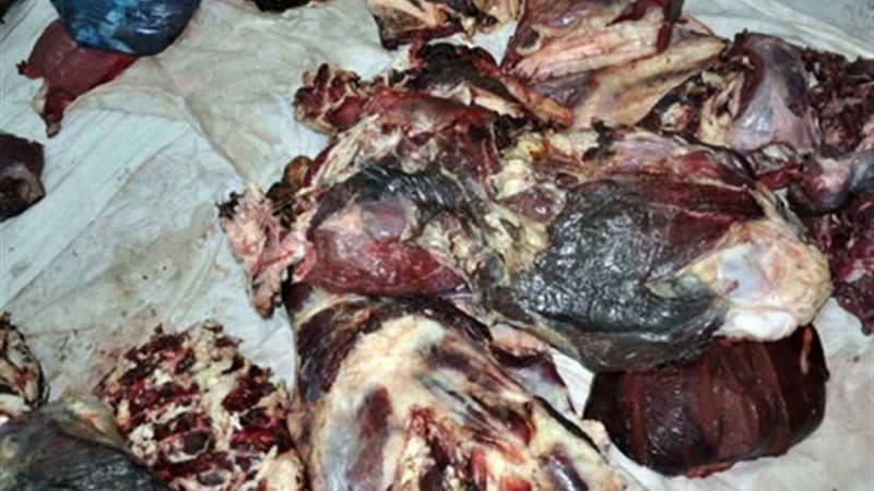 ضبط أكثر من 2 طن