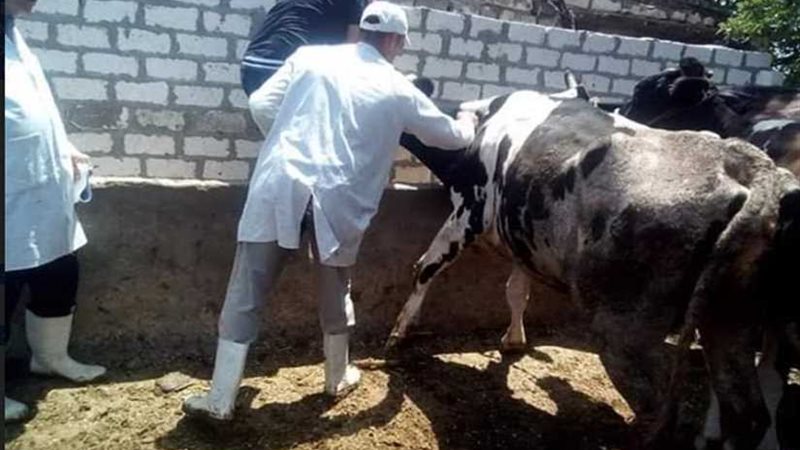 إحالة 8 موظفين بالوحدة