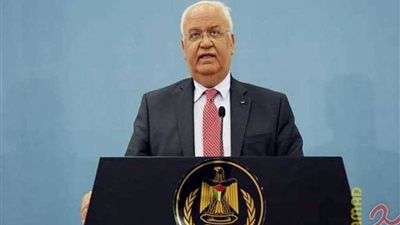 عريقات يدعو أيرلندا للاعتراف بدولة فلسطين