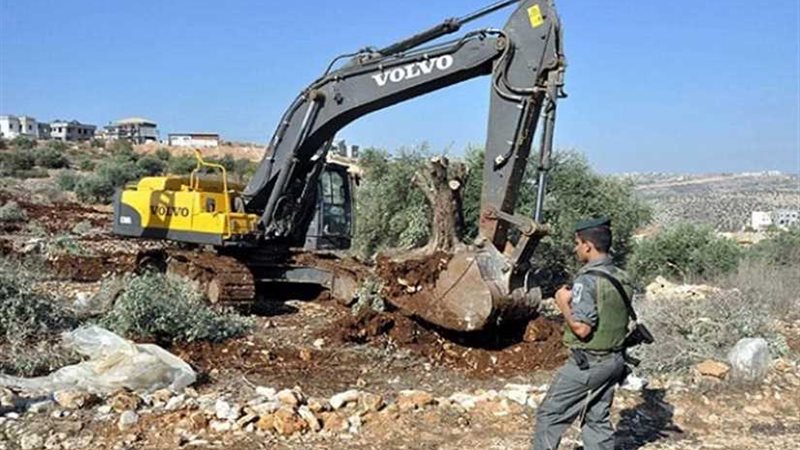 عاجل.. المستوطنون