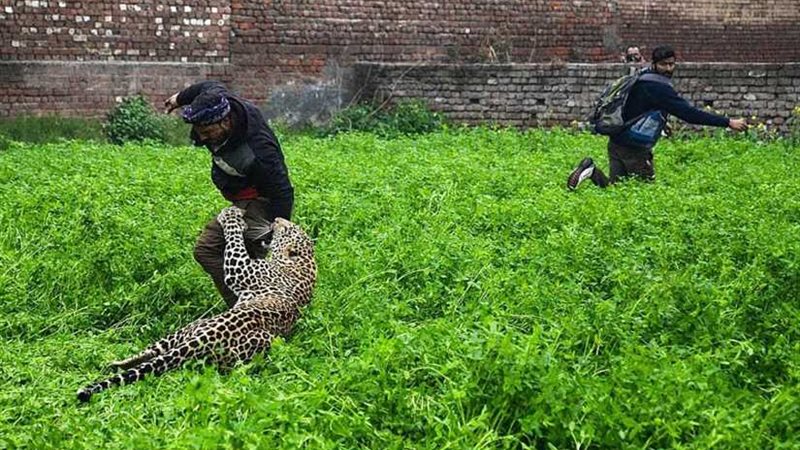 أفضل صورة التقطتها