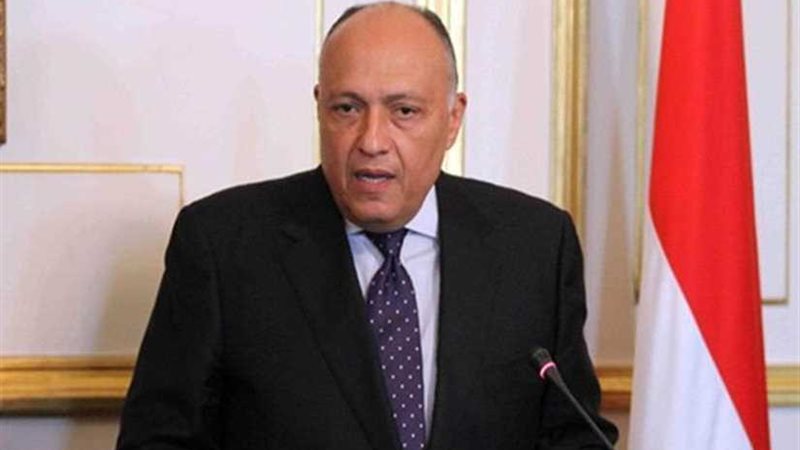 وزير الخارجية يبحث