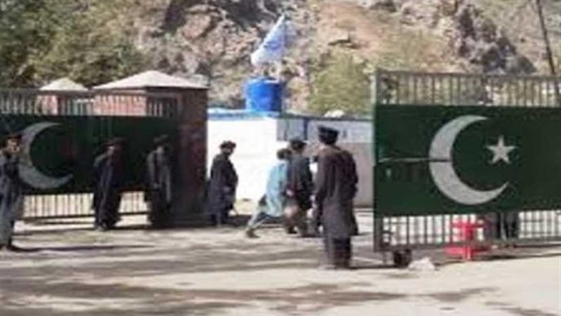 صحفيون ونشطاء ينظمون