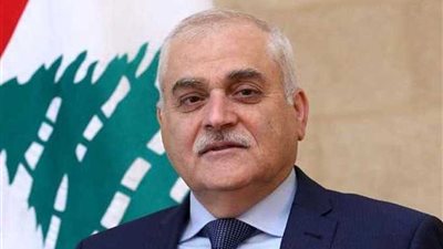 سفير مصر يبحث مع وزير الصحة اللبناني إجراءات العمل بالمستشفى المصري في بيروت