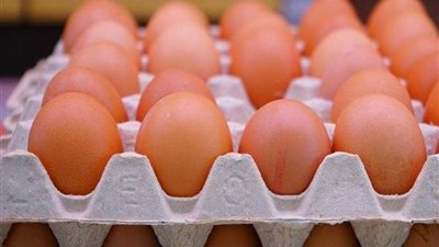 قصة كرتونة البيض التى حققت 8 مليارات دولار