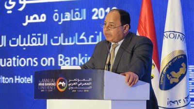 وزير المالية: لولا الاستقرار السياسي في مصر ما تحقق التقدم الاقتصادي