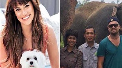 من باميلا أندرسون إلى ليوناردو دي كابريو.. ١٠ مشاهير من هوليوود نشطاء في مجال حقوق الحيوان