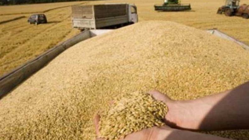 روسيا:120 مليون طن