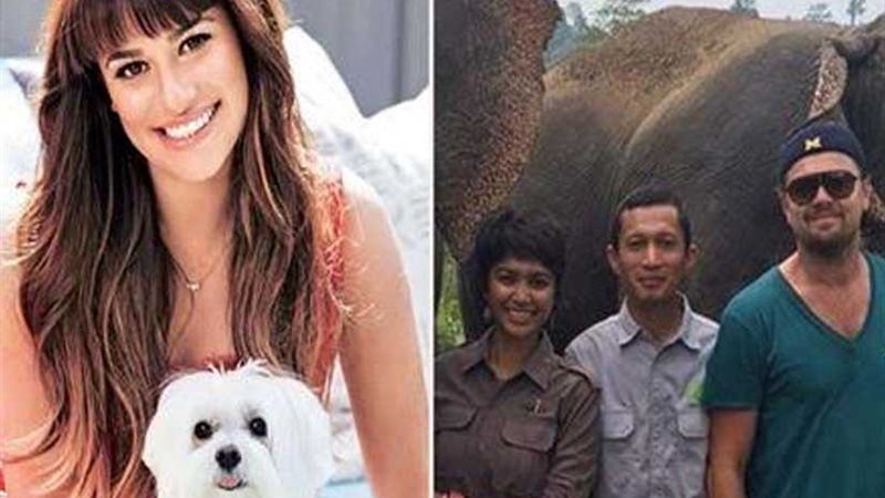 من باميلا أندرسون