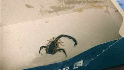 سيدة تتعرض لـ