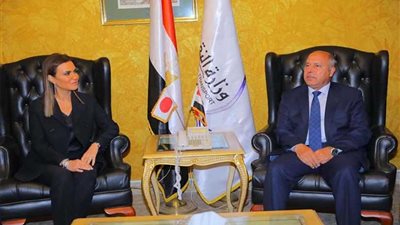 الوزير ونصر يلتقيان سفير اليابان بالقاهرة ووفد الجايكا