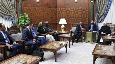 الإمام الأكبر: نسعى لتحقيق السلم المجتمعي ومواجهة التطرف في القارة السمراء