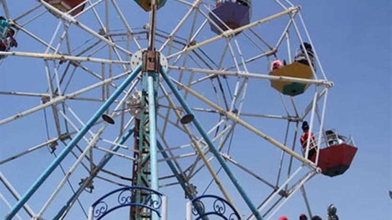 عاجل..إصابة13 تلميذًا