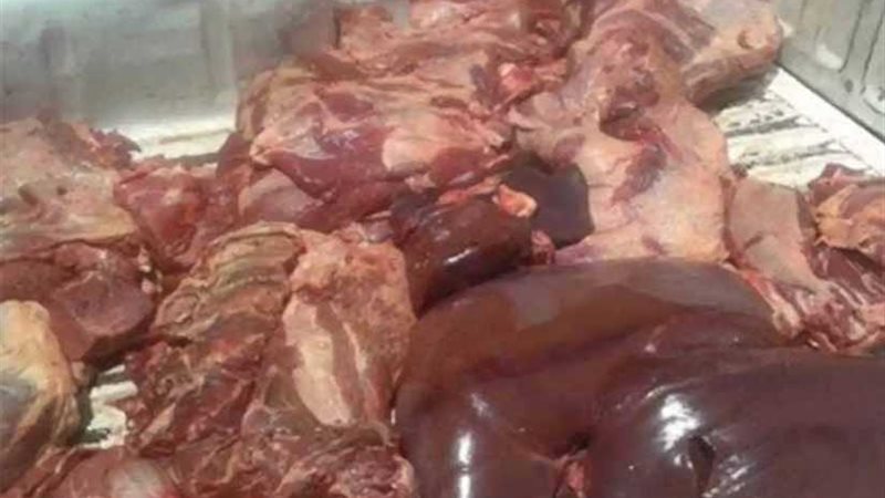 ضبط طن ونصف كبدة