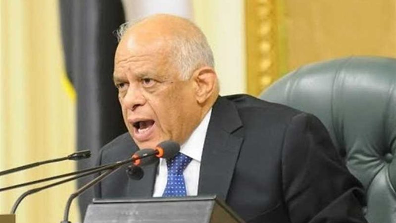 عاجل.. النواب يستدعي