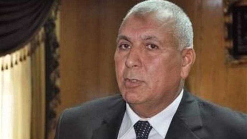 محافظ الوادي الجديد: