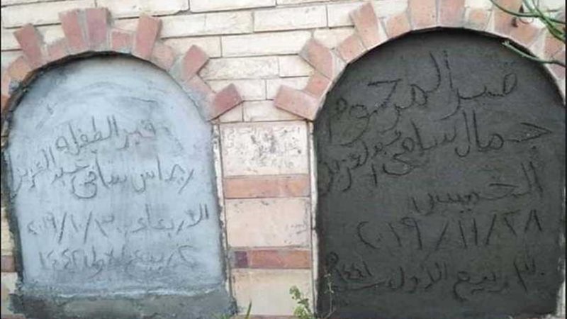 أم تقتل طفليها بالدقهلية