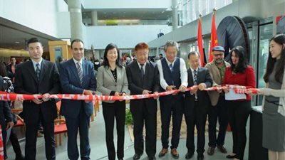 افتتاح المعرض الصيني للنحت على الصخور بمكتبة الإسكندرية