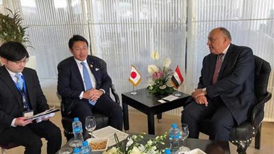 وزير الخارجية يلتقي النائب البرلماني لوزير خارجية اليابان