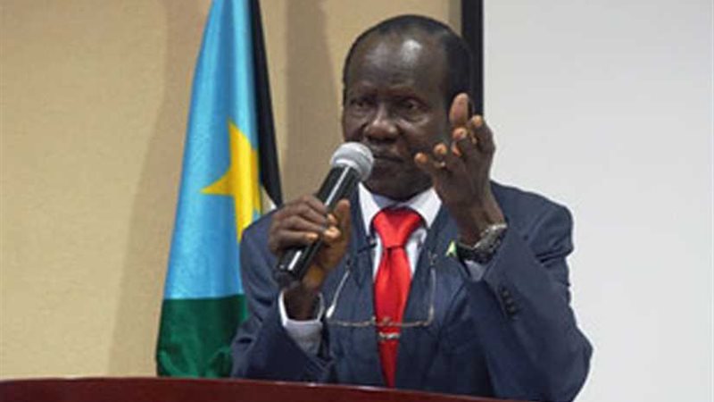 نائب رئيس جنوب السوان