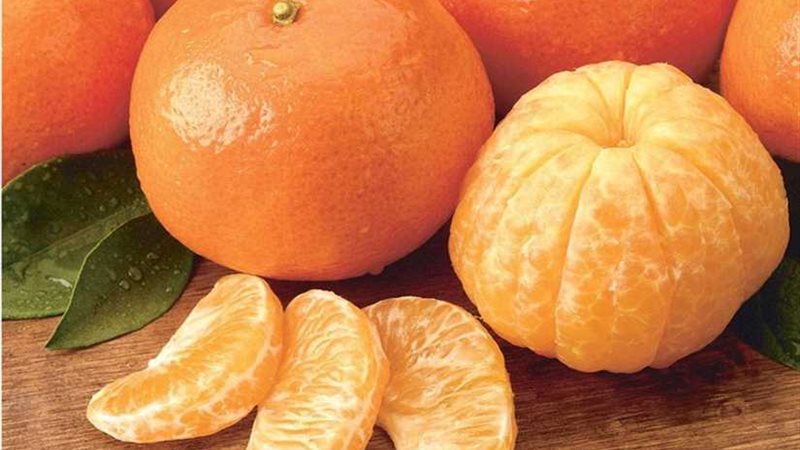 اليوسفي.. أقوى فاكهة