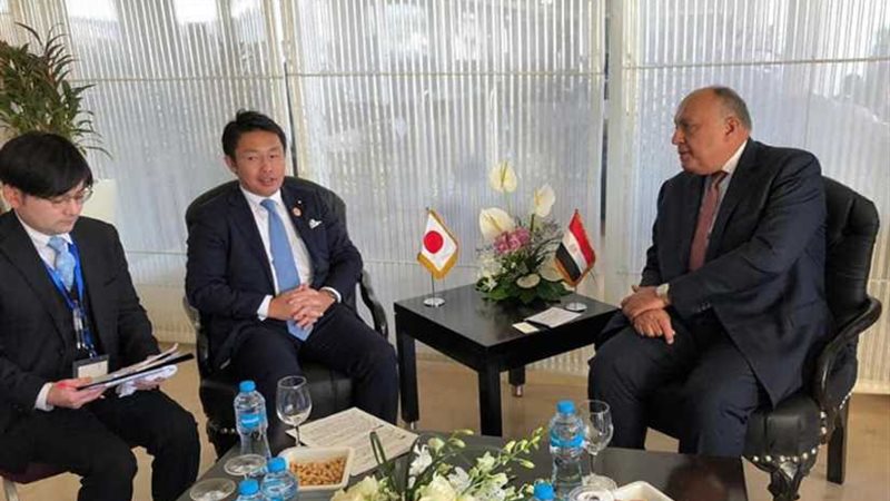 وزير الخارجية يلتقي