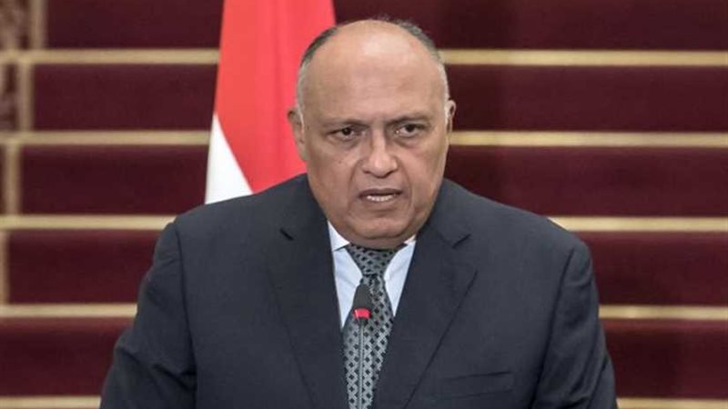 شكري يؤكد أهمية تضافر