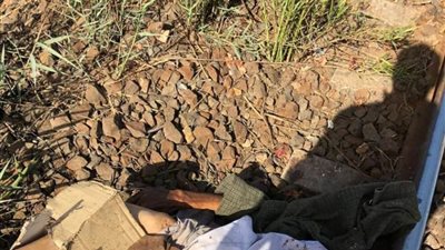 العثور على جثة شخص مفصولة الرأس بالدقهلية 