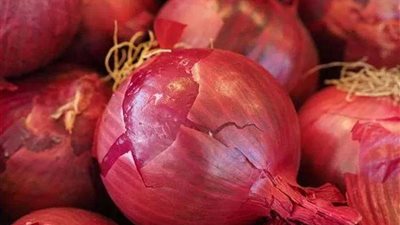 تراجع صادرات محصول البصل المصري لضعف جودته شائعة