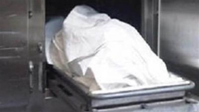 طفل يوثق لحظة قتل والدته على يد والده بالدقهلية