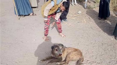 أهالي المعابدة بأسيوط يقتلون 