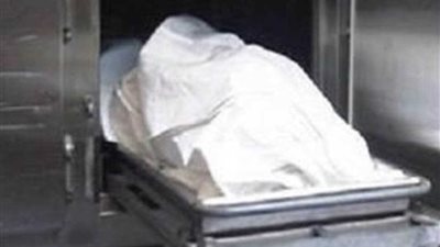 مصرع طبيب وإصابة ضابط وخفير في تصادم سيارتين بأسيوط