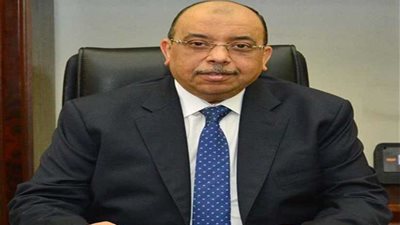 صندوق التنمية المحلية يمول 398 قرضا لمشروعات صغيرة خلال نوفمبر