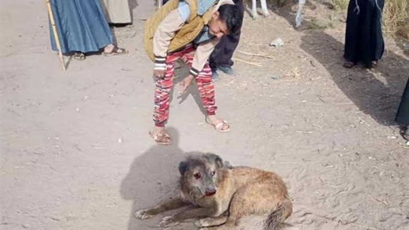 أهالي المعابدة بأسيوط