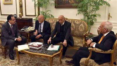 رئيس الوزراء يلتقي الدكتور مجدى يعقوب