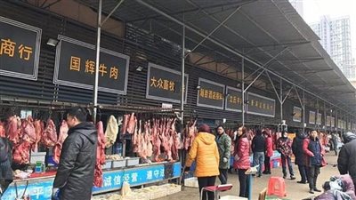 الصين تحظر أكل الحيوانات البرية بعد تفشي كورونا