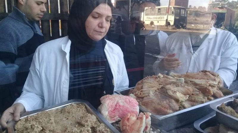 جانب من الحملة