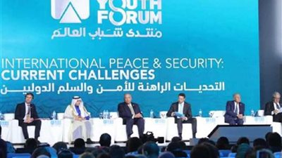 رئيس جامعة المنيا يشهد جلسة التميز المؤسسي الحكومي والتحول الرقمي بــ