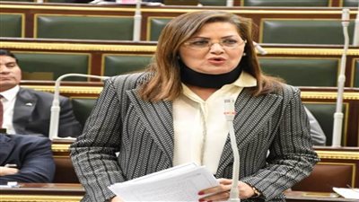 وزيرة التخطيط أمام 