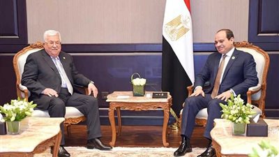 المتحدث الرئاسي: الرئيس السيسي شدد على ثبات الموقف المصري من القضية الفلسطينية وحل الدولتين