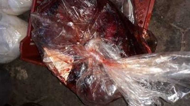 ضبط 3 أطنان كبدة