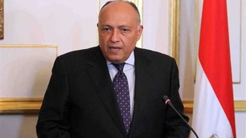 وزير الخارجية: ملف