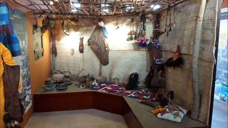 البيئة: تطوير مركز