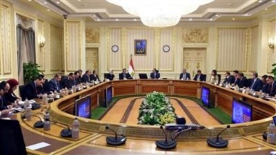 الحكومة ..مصر خالية  من فيروس كورونا